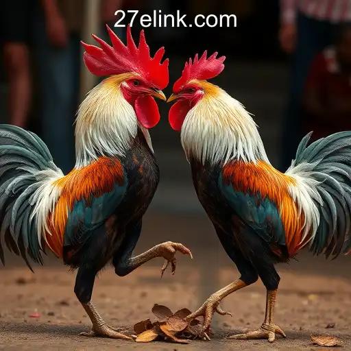 Cockfighting